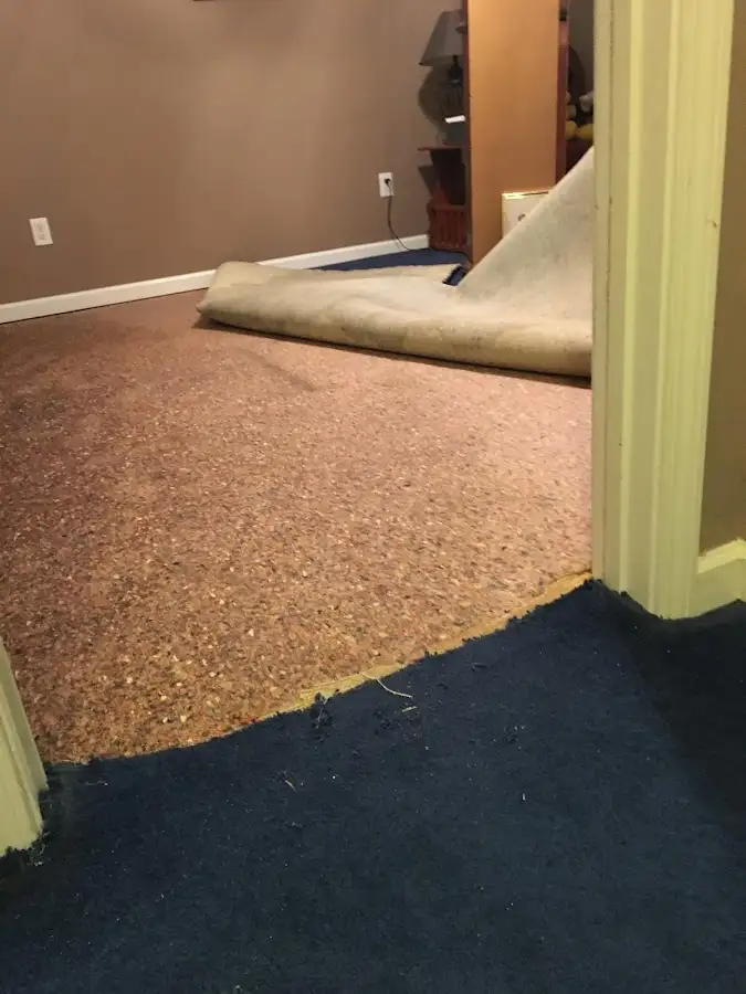 Carpet pad removal revealing water damage during Water Mitigation Services in Forest Glen
