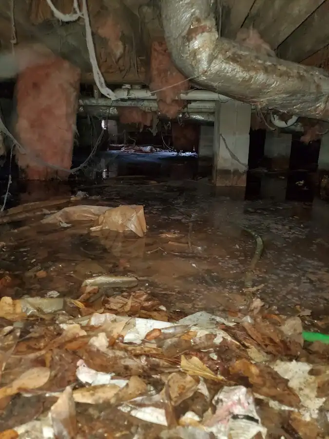Crawl space flood assessment for Leak Detection & Repair in Forest Glen