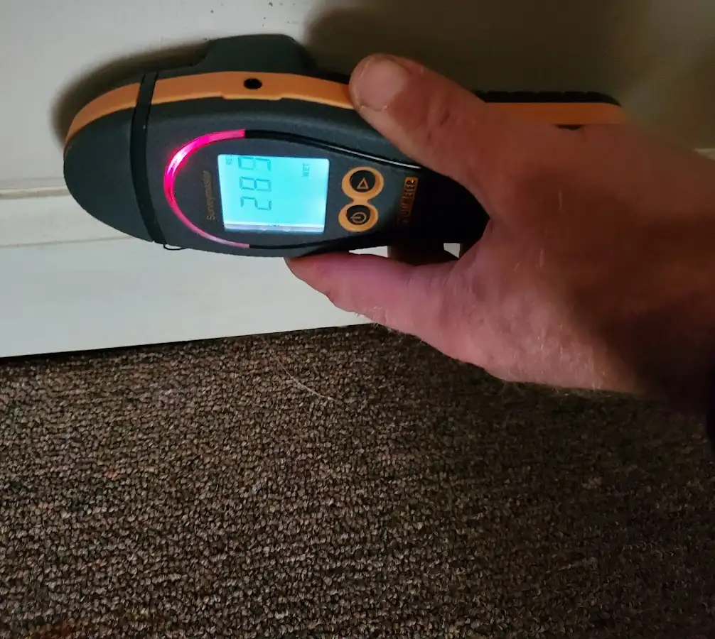 Moisture detection at baseboard during Sewage Cleanup & Sanitation in Forest Glen